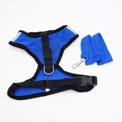 Breathable Mesh Harness With Leash