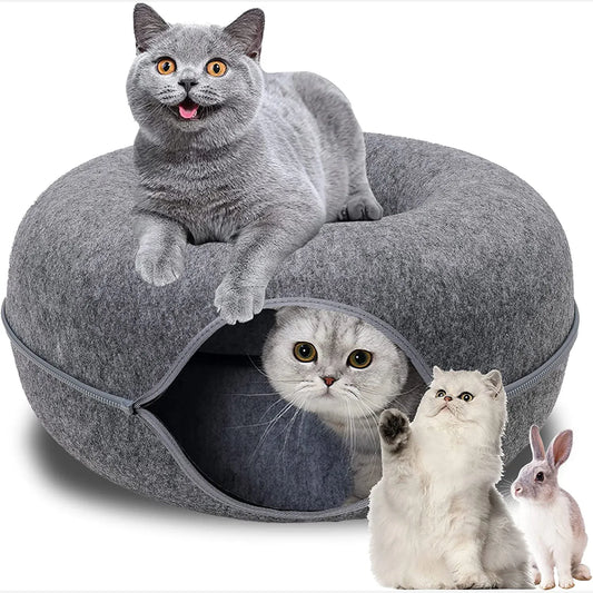 Donut Cat Tunnel