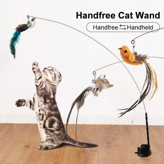 Bird Feather Cat Wand with Bell For Kittens